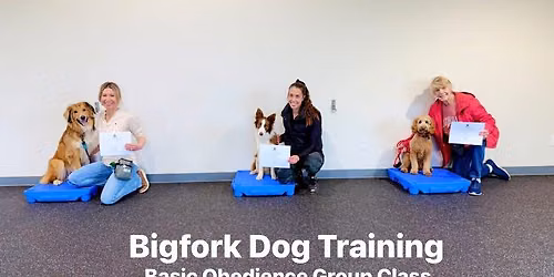 Evening Intermediate Obedience