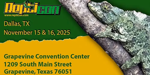Repticon Dallas