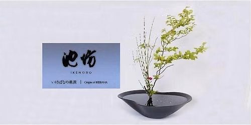 Invitation to Ikenobo Ikebana - Continuing Classes in Boulder CO (Nov 5)