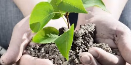 Seed Starting for a wonderful veggie year