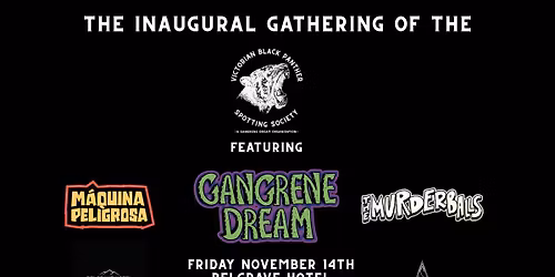 The Inaugural Gathering of The Victorian Black Panther Spotting Society