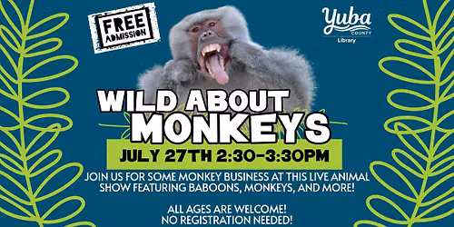Wild About Monkeys