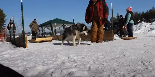 Wausau Winter Fest Pull
