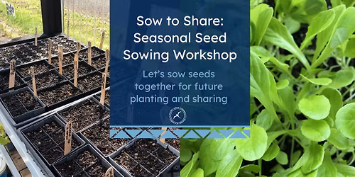 Sow to Share: Seed Sowing Workshop