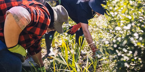 Green Bay Stream Care Session