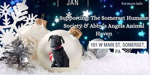 Snowflakes & Snuggles Adoption Event! \ud83d\udc3e\u2744\ufe0f