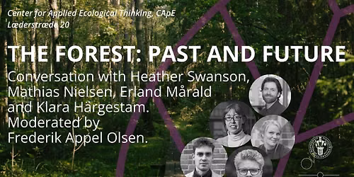 The Forest: Past and Future