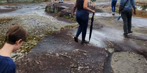 10-Mile Nature Trek