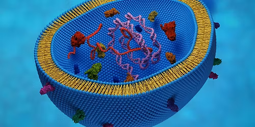 Size Really Does Matter: Biological Nanoparticles Are Changing Biomedicine