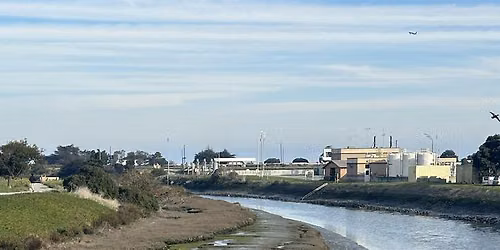 Protect and Connect SSF: Day on the Bay Community Event