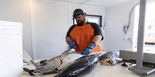 Winter Waters Presents: a Tuna-tastic Field Trip