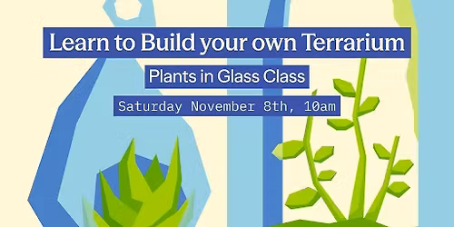 Learn to Build Your Own Terrarium