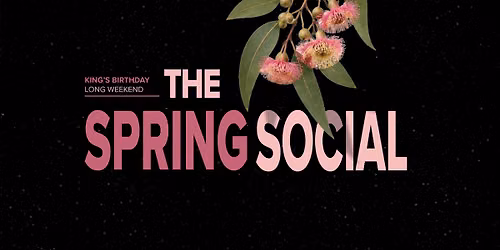 The Spring Social