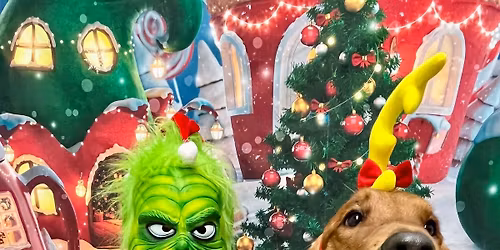 Grinch & Holiday Photos!