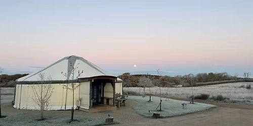 Plant Pilgrim Server: A Journey Through the Celtic Wheel of the Year