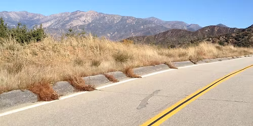 Long Beach to Newport