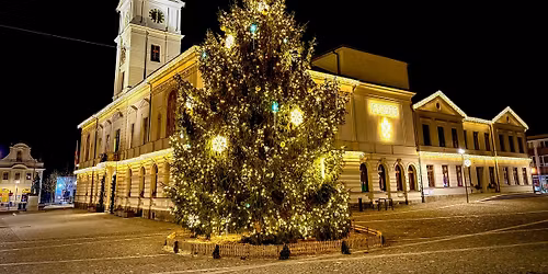Rozsvícení vánočního stromu v Mnichově Hradišti 2025