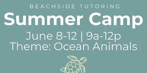 Summer Camp | Week 2 | Ocean Animals