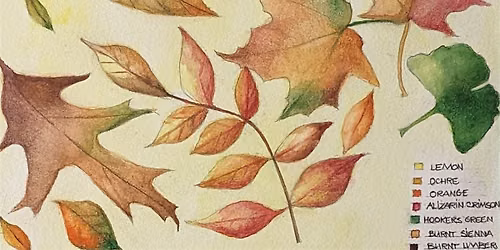 Autumn Watercolour Workshop