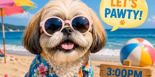 Shih Tzu Social 