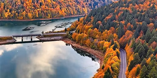 \u10e8\u10d4\u10db\u10dd\u10d3\u10d2\u10dd\u10db\u10d8\u10e1 \u10e0\u10d0\u10ed\u10d0