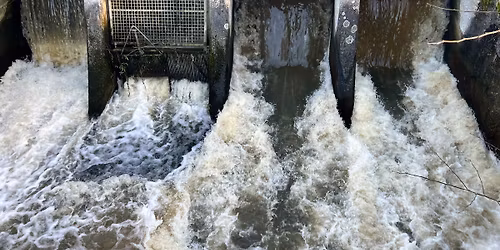 Rundtur i skovene syd for Skarres\u00f8 13 km