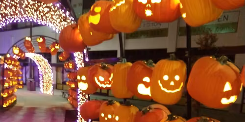 Pumpkins in The Orchard