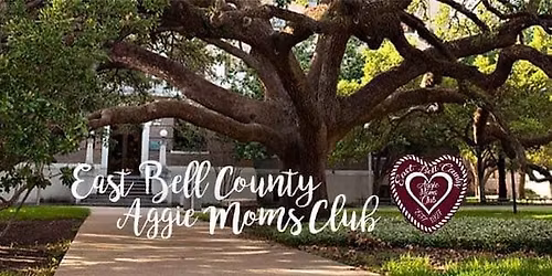 Deliver Goodie Bags to Texas A&M 