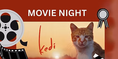 Movie Night with Cats!