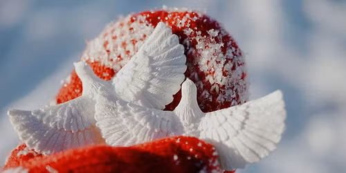 Kom til Julehygge p\u00e5 Gr\u00f8nlandsk man\u00e9r