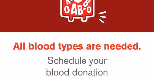 Litchfield Community Blood Drive-Litchfield Fire 