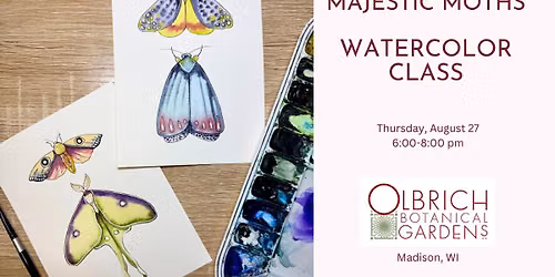 Majestic Moths Watercolor Class at Olbrich Gardens