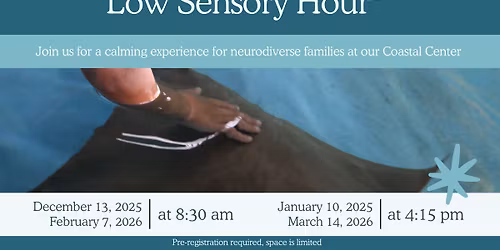 Low Sensory Hour