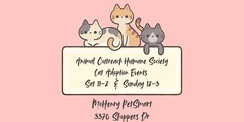Cat Adoption Event