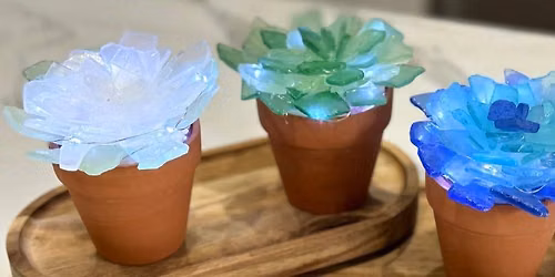 Sea Glass Succulents!