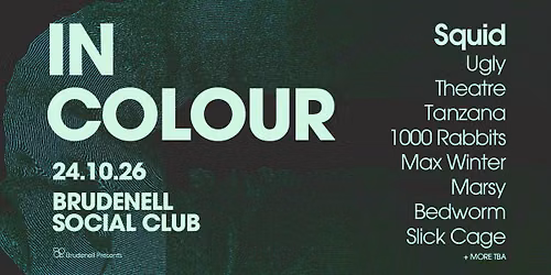 In Colour, Live at The Brudenell 