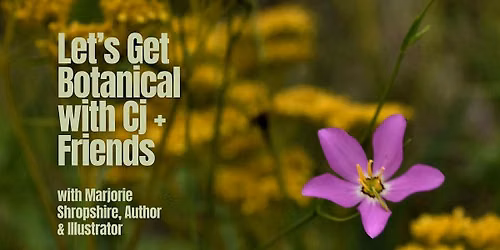 Take a Walk on the Wild Side - Fall Wildflowers and Bird Calls