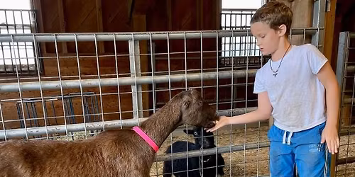 Farmyard Helper