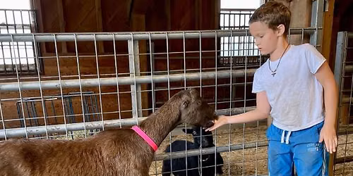 Farmyard Helper