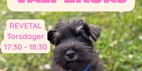 Valp\/unghundkurs Revetal torsdager