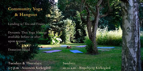 Community Yoga (Donation-Based), Cosy Landing (with comfort food and drinks) & Optional Thai Massage