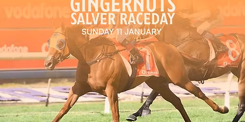 Gingernuts Salver Raceday