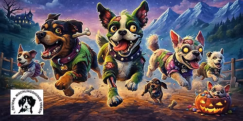 Hunderennen - Zombie Party