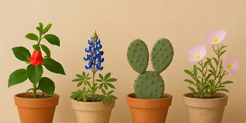 October Plant Swap! Cross Timbers NPSOT Monthly Meeting