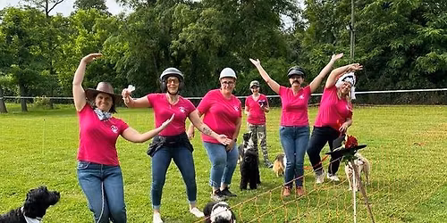 Concours dog-dancing