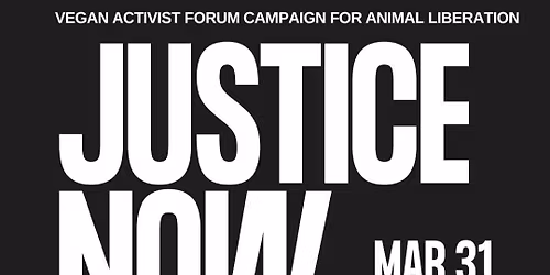 NEON Protest: Edinburgh: April 4th: 12:00