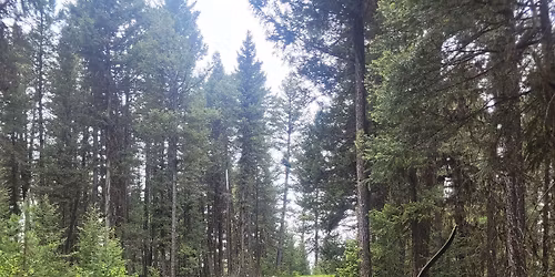 3D Trail Shoot