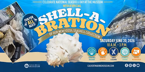 Shell-A-Bration