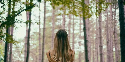 Summer Forest Bathing Class