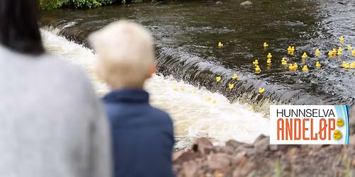 Hunnselva andel\u00f8p